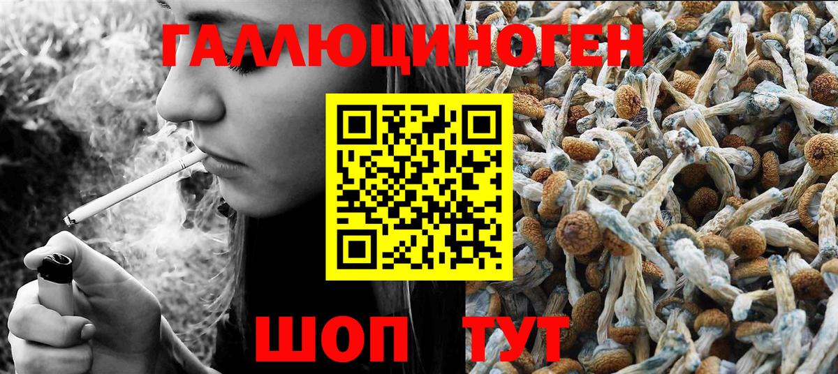 Псилоцибиновые грибы Cubensis  Галлюциногенные грибы Psilocybe  Вичуга  Вход с VPN 
